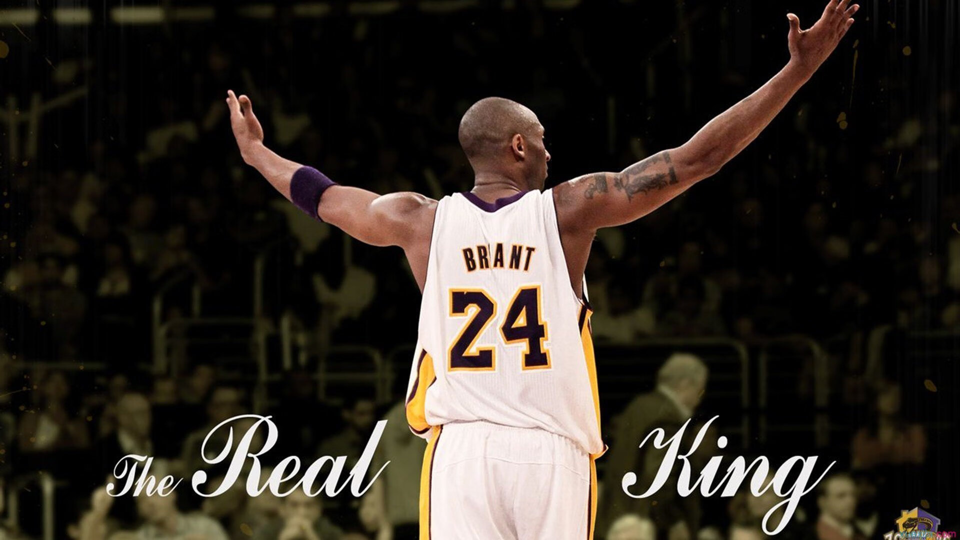 格纳布里爆发难救主，美国压哨绝杀背后的足球哲学革命